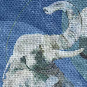 Extraordinary Elephants - Blue Novelty Fat Quarter | Quilting Treasures 28777-N