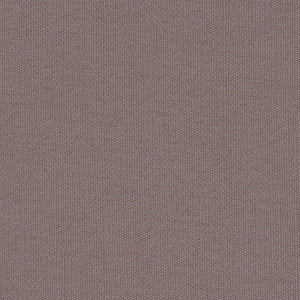 Century Solids - Brown Blender | Andover CS10-TRUFFLE