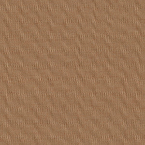 Century Solids - Brown Blender | Andover CS10-CAFEAULIAT
