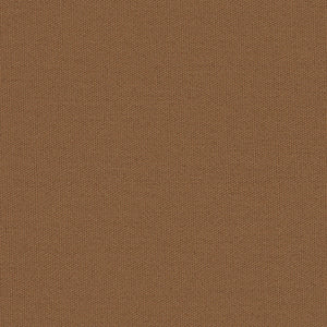 Century Solids - Brown Blender | Andover CS10-CINNAMON