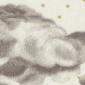 Stargazer - Cream Novelty Fat Quarter | Windham Fabrics 51758M-2