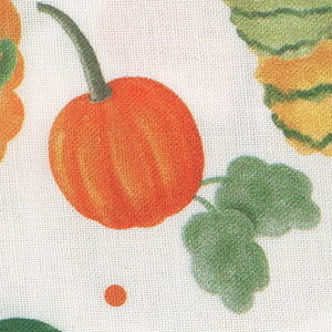 Pumpkins and Gourds - White | Benartex 14231-09