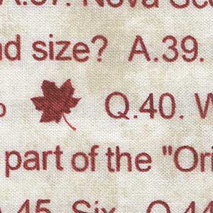 Canadian Classic - Cream Blender Fat Quarter | Northcott 21360-11