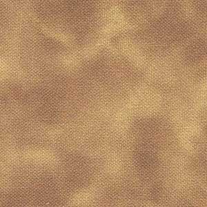 Color Dance - Dark Blonde | Quilting Treasures 29008-EA