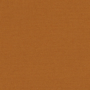 Century Solids - Gold Blender | Andover CS10-GINGER