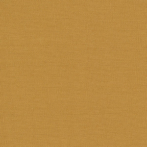 Century Solids - Gold Blender | Andover CS10-GOLDENROD