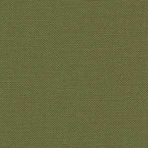 Bella Solids - Terrain Cactus | Moda 9900-175
