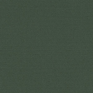 Century Solids - Green Blender | Andover CS10-HUNTER