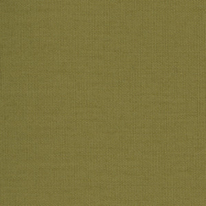 Century Solids - Green Blender | Andover CS10-JALAPENO