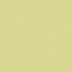 Century Solids - Green Blender | Andover CS10-SPRING