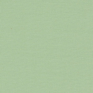 Century Solids - Green Blender | Andover CS10-PISTACHIO