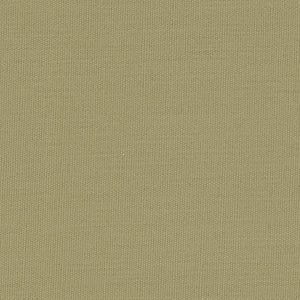 Century Solids - Green Blender | Andover CS10-SAGEBRUSH