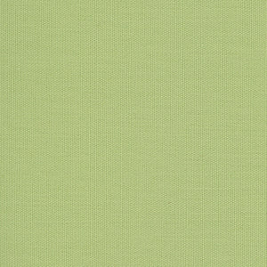 Century Solids - Green Blender | Andover CS10-PEAR