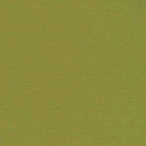 Century Solids - Green Blender | Andover CS10-GUACAMOLE