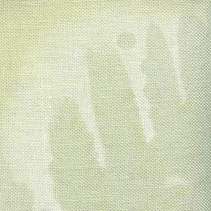 Fossil Fern - Green Blender Fat Quarter | Benartex 00528-47