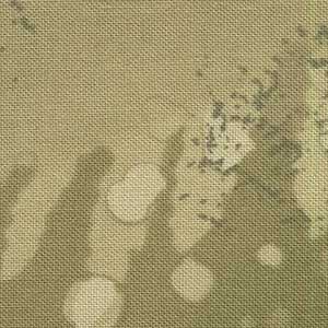 Fossil Fern - Raffia | Benartex 00528-36