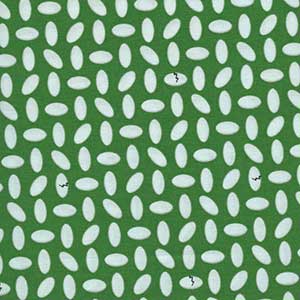 Dino Age - Green Blender Fat Quarter by Benartex