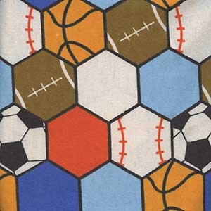 All Star Sports - Multicolor Novelty Fat Quarter by Camelot Fabrics