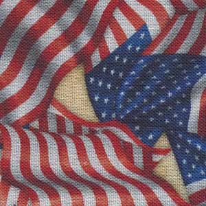 Indivisible - Multicolor Patriotic Fat Quarter | Quilting Treasures 28684-E
