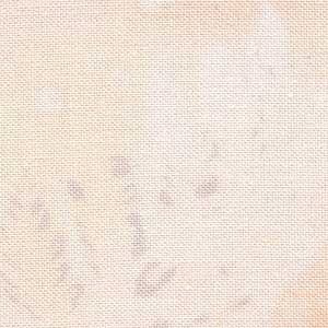 Fossil Fern - Glazed Peach | Benartex 00528-42