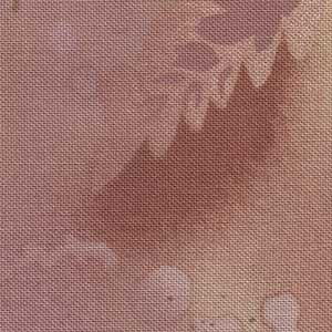 Fossil Fern - Desert Rose | Benartex 00528-FF