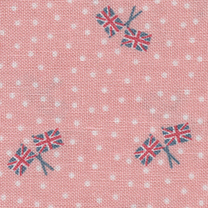 Notting Hill - Pink Novelty | Riley Blake Designs C10206-BLUSH