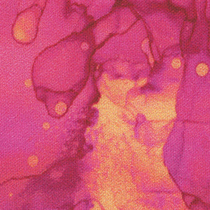 Fluidity - Hibiscus | Northcott DP27234-27