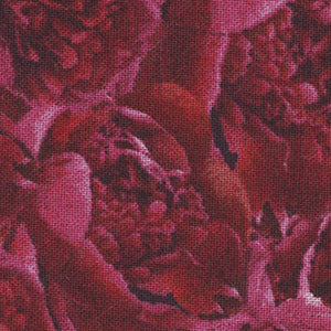 Crimson Blooms - Red Floral | Wilmington Prints 30096-333