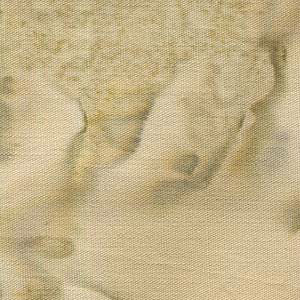 Lava Batiks - Stone | Anthology Fabrics 1642
