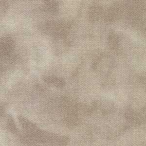 Color Dance - Light Khaki | Quilting Treasures 29008-KE