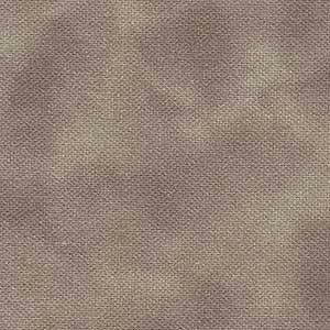 Color Dance - Khaki | Quilting Treasures 29008-KA