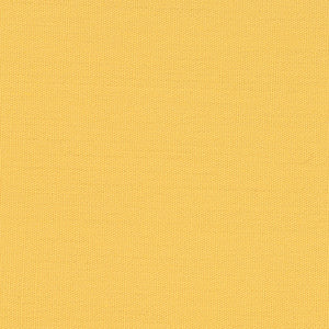 Century Solids - Gold Blender | Andover CS10-SUNSHINE
