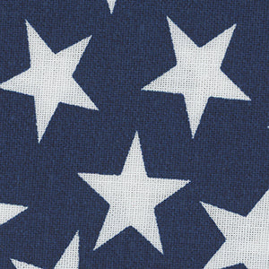 Patriotic - Blue Patriotic 108" Wide Back | Quilter's Choice 17004-100