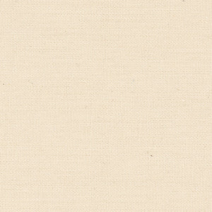 Premium Solid - Cream Blender 118" Wide Back | Quilting Treasures 31466-E