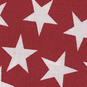 Patriotic - Red Patriotic 108" Wide Back | Quilter's Choice 17004-200