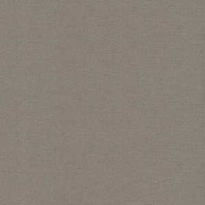 Bella Solids - Elephant by Moda