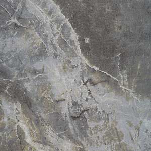 Stonehenge Surfaces - Warm Gray by Northcott