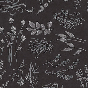 Silhouettes - Black Floral by Moda