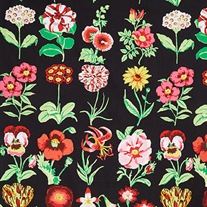 Flower Studies - Black Floral by Free Spirit