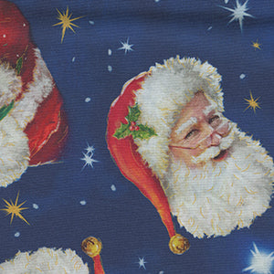 Up on the Housetop - Blue Christmas by Quilting Treasures