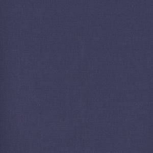 Century Solids - Blue Blender by Andover