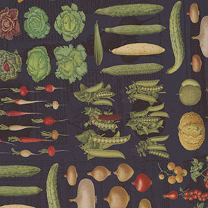 Farm and Garden - Blue Novelty by Moda