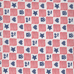 Happy Birthday, America - Simple American Home by Free Spirit