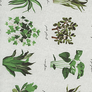 Plant Names - White Floral by David Textiles