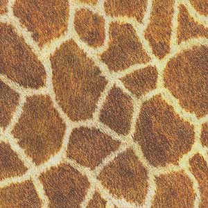 Animal Kingdom - Gold Novelty by Robert Kaufman