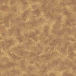 Color Dance - Dark Blonde by Quilting Treasures