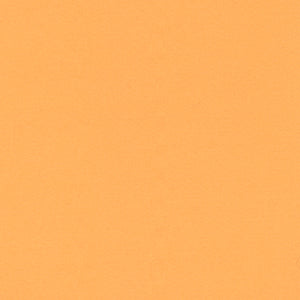 Century Solids - Gold Blender by Andover