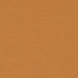 Century Solids - Gold Blender by Andover