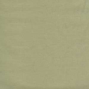 Bella Solids - Sage by Moda
