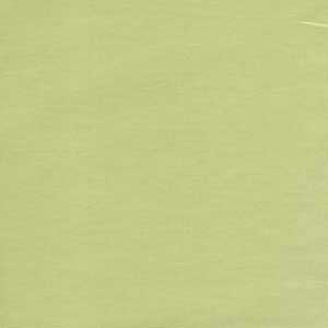 Bella Solids - Celery by Moda